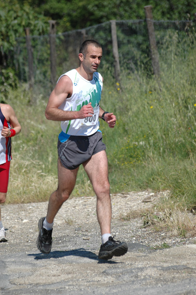 Maratonina di Villa Adriana (23/05/2010) dominici_va_2343