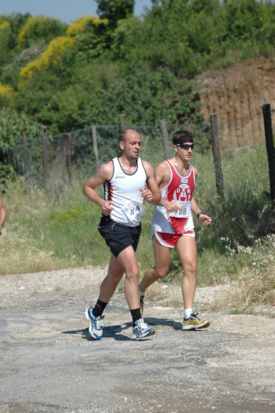 Maratonina di Villa Adriana (23/05/2010) dominici_va_2351