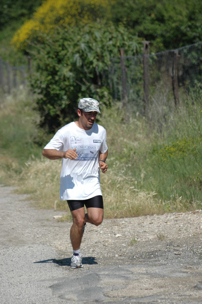 Maratonina di Villa Adriana (23/05/2010) dominici_va_2361