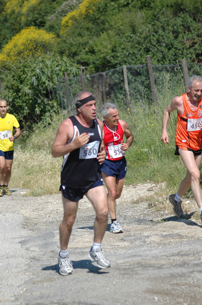 Maratonina di Villa Adriana (23/05/2010) dominici_va_2375