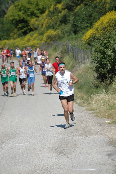 Maratonina di Villa Adriana (23/05/2010) dominici_va_2392