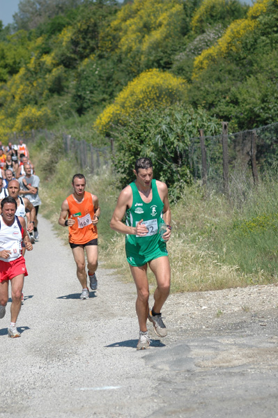 Maratonina di Villa Adriana (23/05/2010) dominici_va_2447