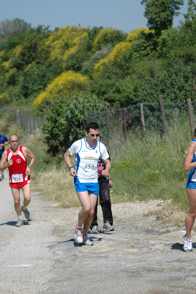 Maratonina di Villa Adriana (23/05/2010) dominici_va_2488