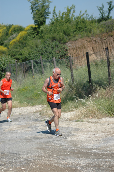 Maratonina di Villa Adriana (23/05/2010) dominici_va_2498