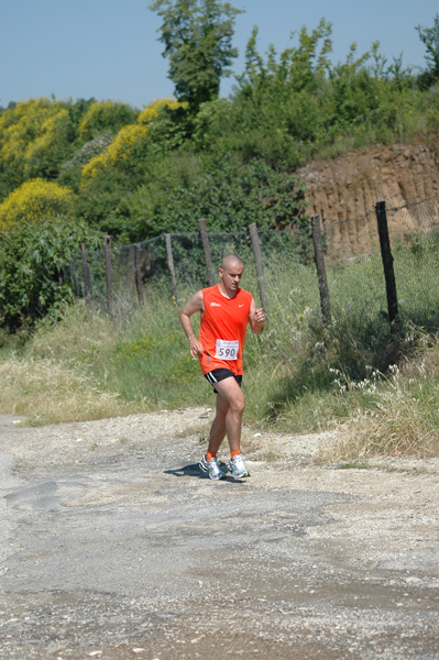 Maratonina di Villa Adriana (23/05/2010) dominici_va_2499