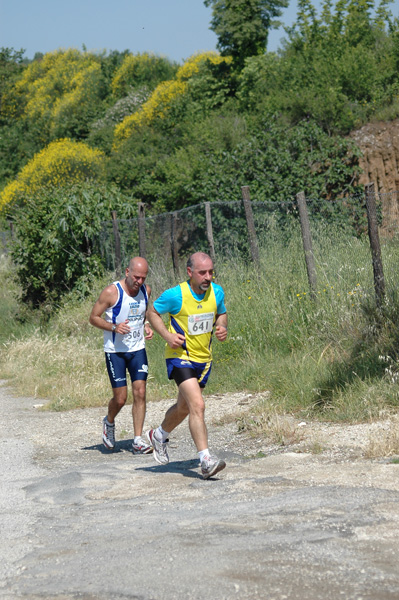 Maratonina di Villa Adriana (23/05/2010) dominici_va_2538