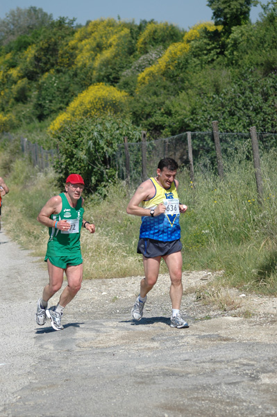 Maratonina di Villa Adriana (23/05/2010) dominici_va_2592