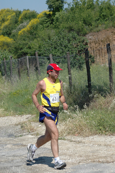 Maratonina di Villa Adriana (23/05/2010) dominici_va_2597