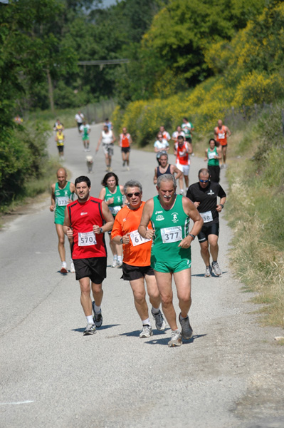 Maratonina di Villa Adriana (23/05/2010) dominici_va_2615