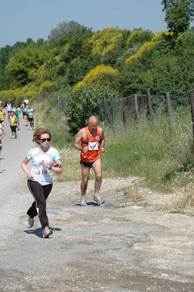 Maratonina di Villa Adriana (23/05/2010) dominici_va_2618