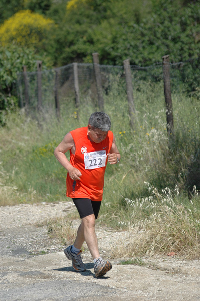 Maratonina di Villa Adriana (23/05/2010) dominici_va_2640