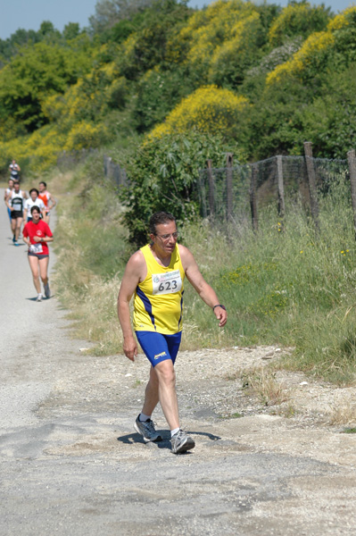 Maratonina di Villa Adriana (23/05/2010) dominici_va_2642