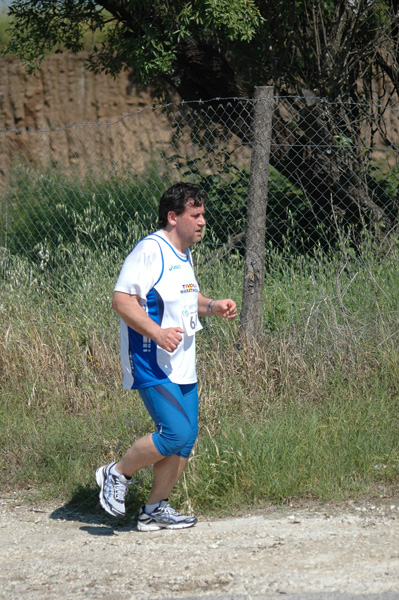 Maratonina di Villa Adriana (23/05/2010) dominici_va_2656