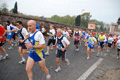 appia_run_2315