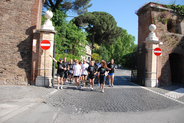 Passeggiata per NCL Charity Run (09/05/2010) ncl_4288