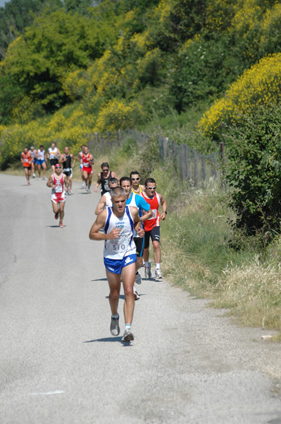 Maratonina di Villa Adriana (23/05/2010) dominici_va_2232