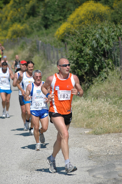 Maratonina di Villa Adriana (23/05/2010) dominici_va_2257