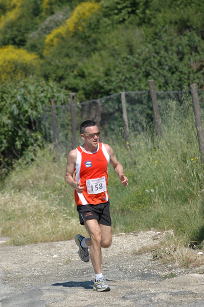 Maratonina di Villa Adriana (23/05/2010) dominici_va_2296