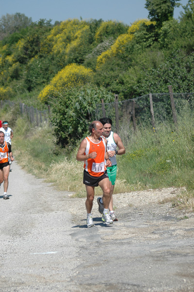 Maratonina di Villa Adriana (23/05/2010) dominici_va_2390