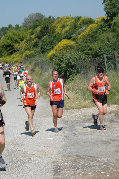 Maratonina di Villa Adriana (23/05/2010) dominici_va_2467