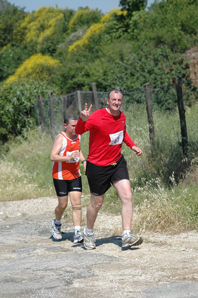 Maratonina di Villa Adriana (23/05/2010) dominici_va_2633