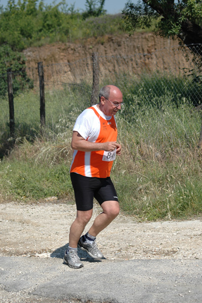Maratonina di Villa Adriana (23/05/2010) dominici_va_2667