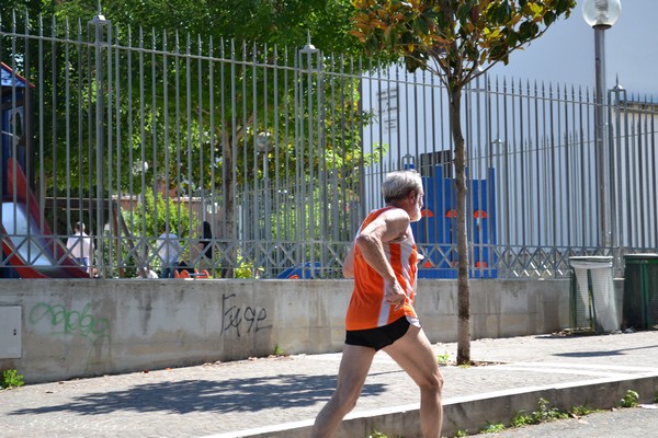 Maratonina di Villa Adriana (29/05/2011) 0087