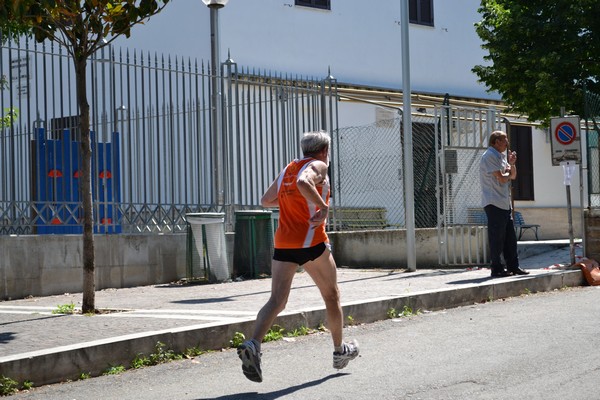 Maratonina di Villa Adriana (29/05/2011) 0089