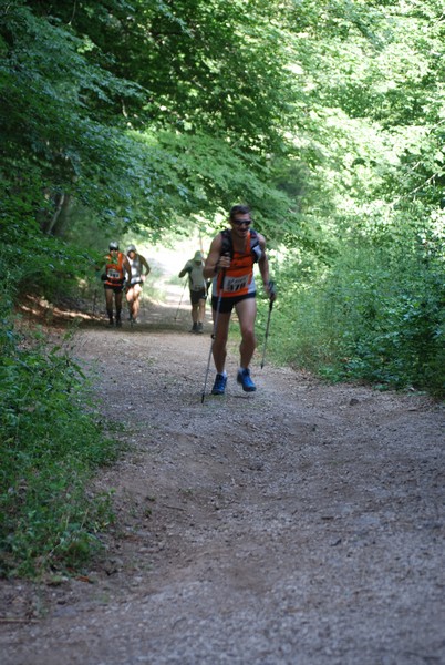 Woman in Trail (01/07/2012) 00013