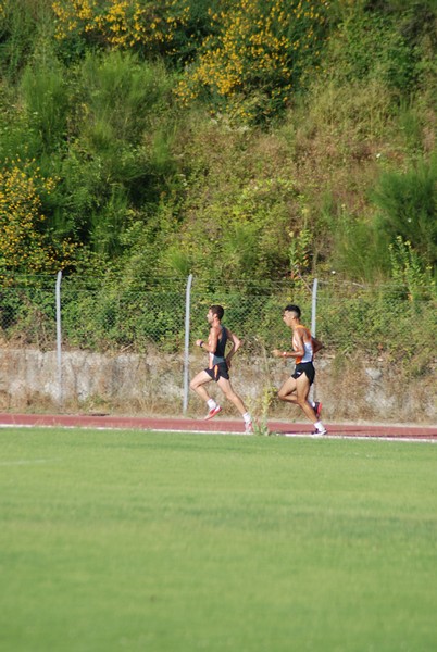 5000 in Pista a Rocca Priora (08/07/2012) 00015