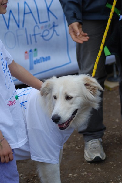 Walk of Life - Corri per Telethon (22/04/2012) 0095