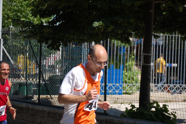 Maratonina di Villa Adriana (27/05/2012) 0066