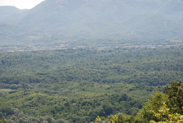 Trail di Vallinfreda  (Crit. Trail) (09/06/2013) 00059