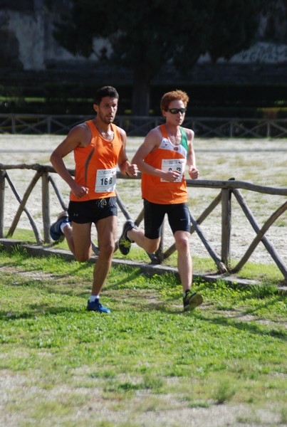 Maratona di Roma a Staffetta (19/10/2013) 00117