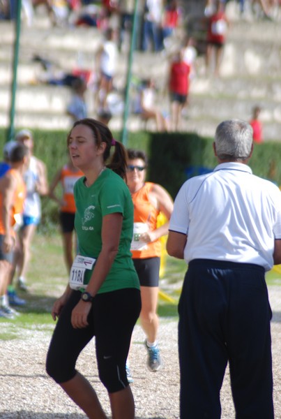 Maratona di Roma a Staffetta (19/10/2013) 00162