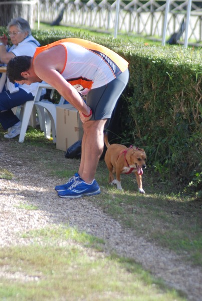 Maratona di Roma a Staffetta (19/10/2013) 00184