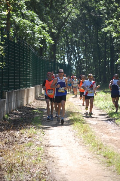 Trofeo Città di Nettuno (02/06/2013) 00019