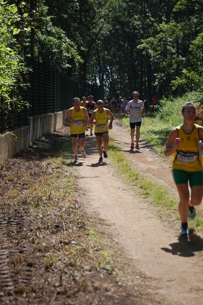 Trofeo Città di Nettuno (02/06/2013) 00079