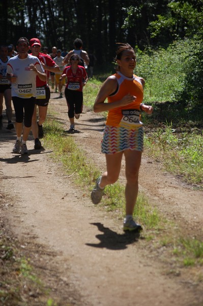 Trofeo Città di Nettuno (02/06/2013) 00104