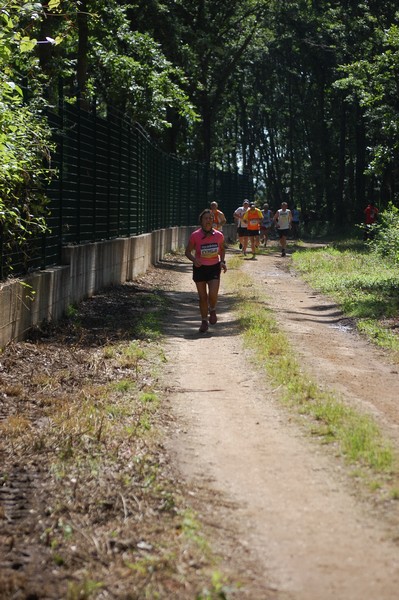 Trofeo Città di Nettuno (02/06/2013) 00157