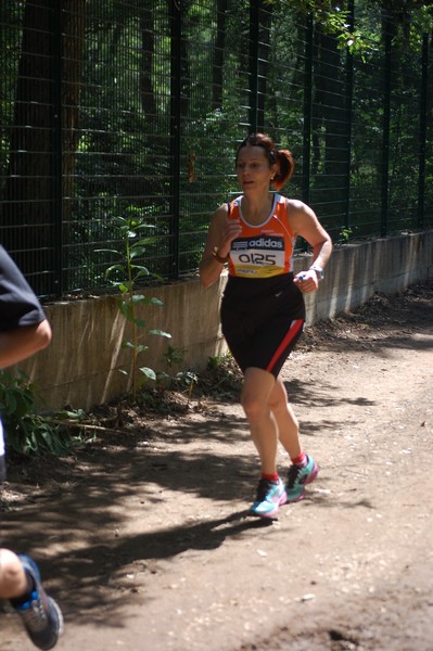 Trofeo Città di Nettuno (02/06/2013) 00263