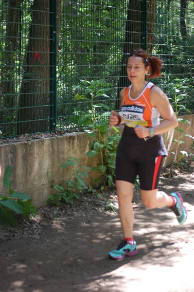 Trofeo Città di Nettuno (02/06/2013) 00264