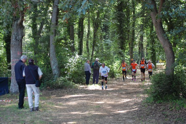 Trofeo Città di Nettuno (02/06/2013) 00278