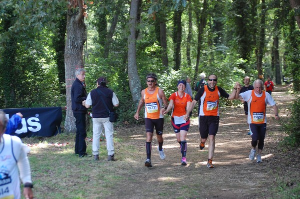 Trofeo Città di Nettuno (02/06/2013) 00280