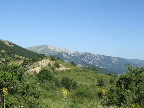 Trail Serra di Celano (Crit. Trail) (28/07/2013) 054