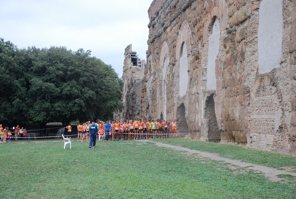 Trofeo Podistica Solidarietà (29/09/2013) 00030