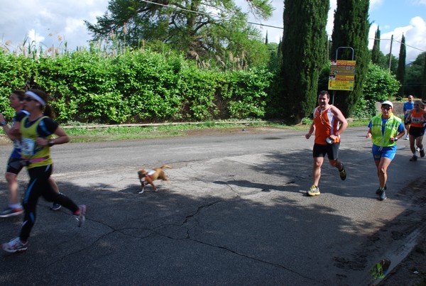 Maratonina di Villa Adriana (26/05/2013) 00068