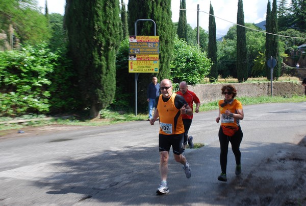 Maratonina di Villa Adriana (26/05/2013) 00070