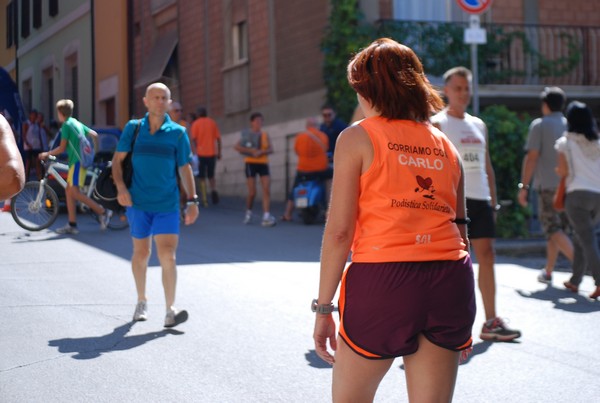 Trofeo delle Sette Contrade  (C.E.) (01/09/2013) 00009