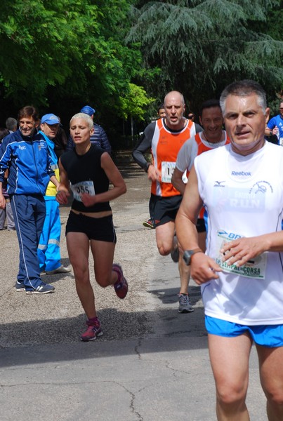 Maratonina di Villa Adriana (26/05/2013) 00004